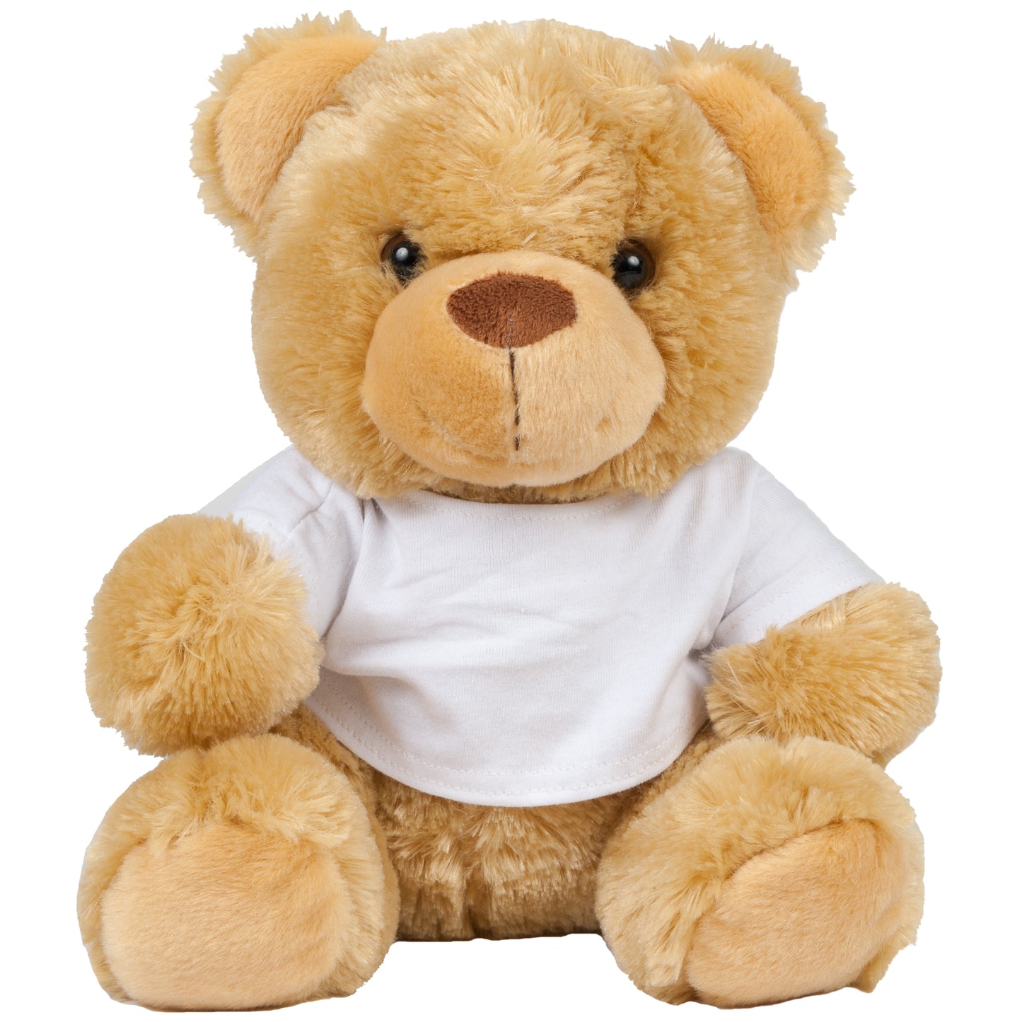Teddy in T-shirt