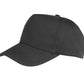 Boston children's cap