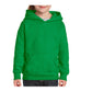 Heavy Blend Kids Hoodie